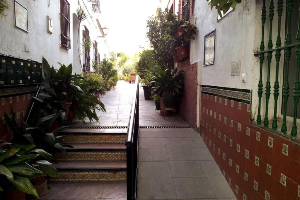 Tipico Y Pintoresco Patio De Vecinos, Con Encanto เซบีญา ภายนอก รูปภาพ