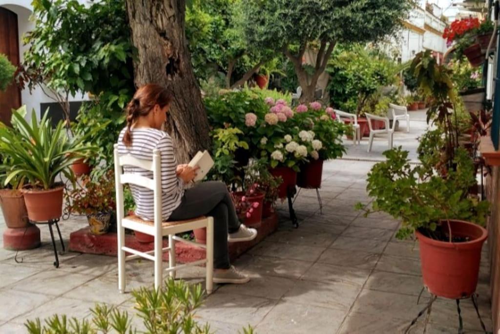Tipico Y Pintoresco Patio De Vecinos, Con Encanto เซบีญา ภายนอก รูปภาพ