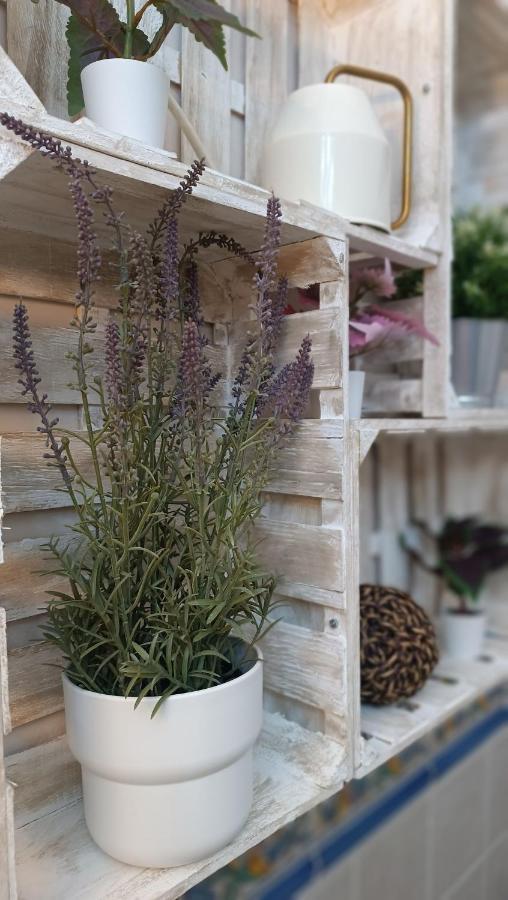 Tipico Y Pintoresco Patio De Vecinos, Con Encanto เซบีญา ภายนอก รูปภาพ