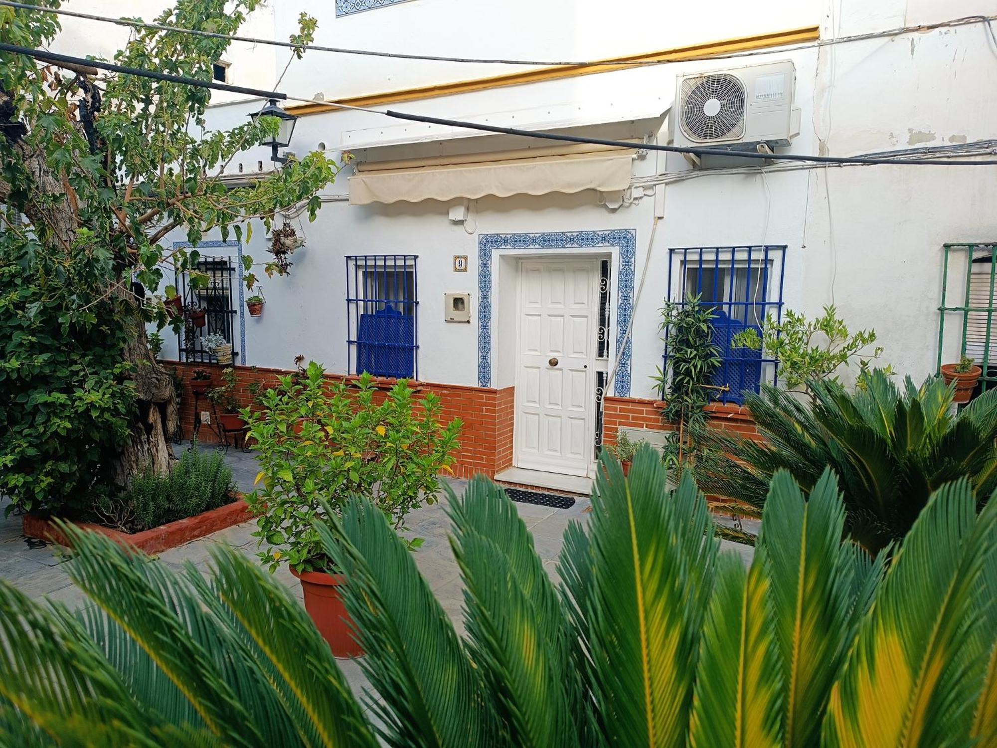 Tipico Y Pintoresco Patio De Vecinos, Con Encanto เซบีญา ภายนอก รูปภาพ